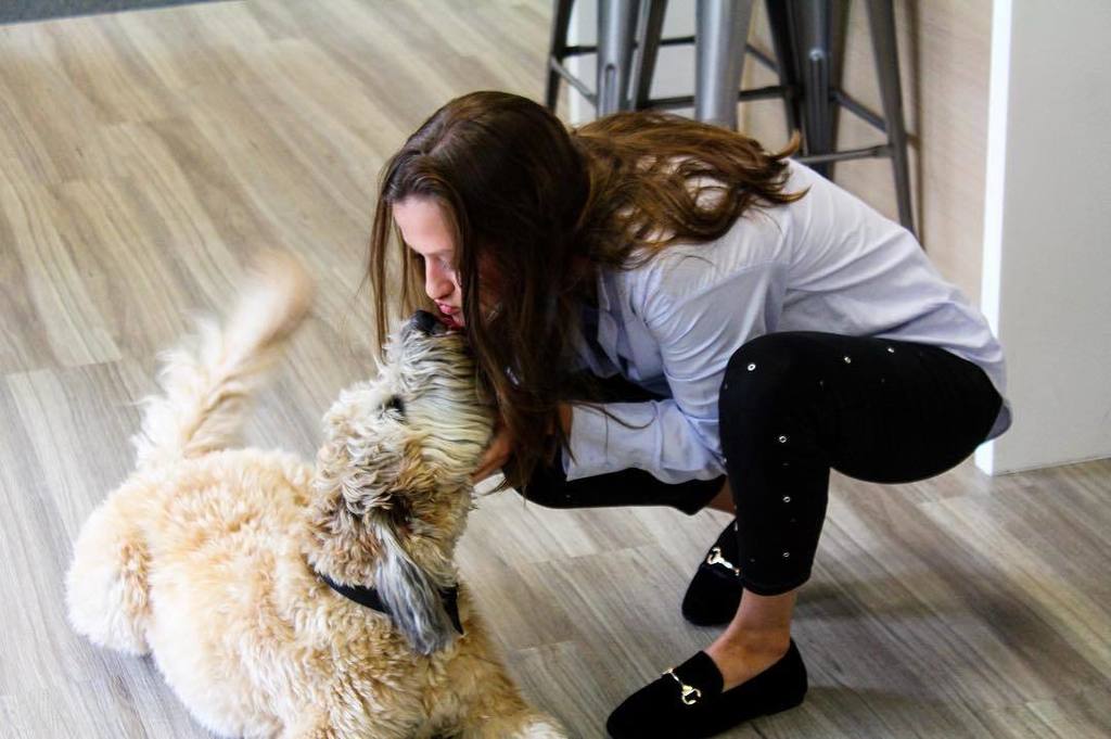 BENCHMARQUE's tweet photo. Dogs make everything better, including a day at the office 🐶 #LoveHospitality https://t.co/f2zN0rEi8u https://t.co/6Qc4yKVOpj