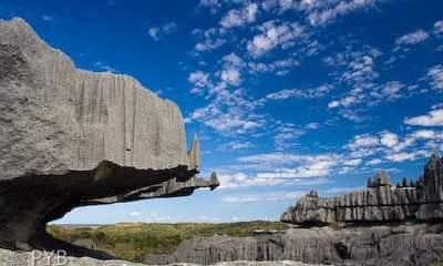 NTD_SA's tweet photo. #Tsingy #Bemaraha #Madagascar ❤️ https://t.co/G3tr0RccIk