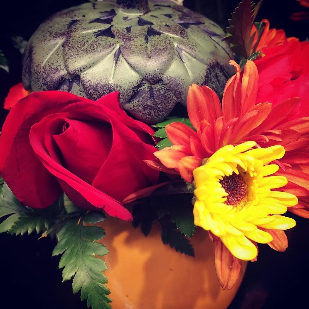 Reenie_Hutton's tweet photo. An acorn fall bouquet!
.
.
#flowers #flowersofinstagram #bouquet #floraldesign #florals #fall #seasons #roses #sunflower #acorn #lookingisfree https://t.co/rMs4iwLHDt https://t.co/utuJVjhfsr