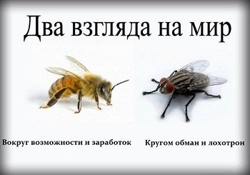 schkoler tweet picture