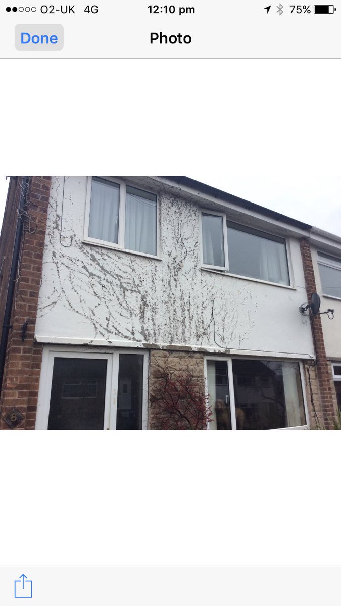 DMSPLASTERING's tweet image. Weber Mono ( chalk )..