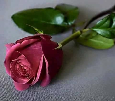 mounira2016's tweet photo. @houdaabdelmoula  :* https://t.co/4IGSvQj8RQ