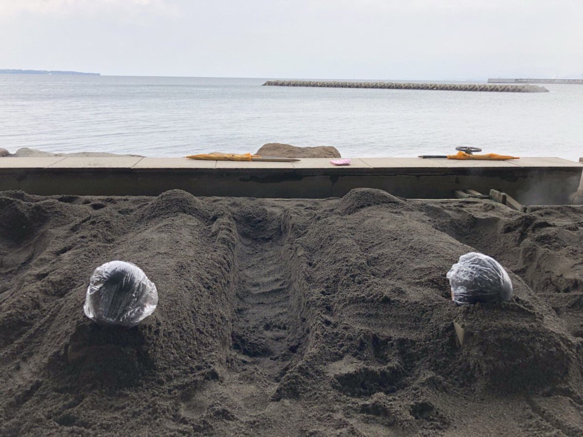 Eri キスマイオオイタ まず別府で砂風呂 にかちゃんが入ってたやつ 10時に行って私達が入れたのは11 30頃でした 並ぶの覚悟で行くべし 砂 があったかくて気持ち良かった 波の音も聴こえて最高 砂まみれなるからシャワーキャップあると キスマイ