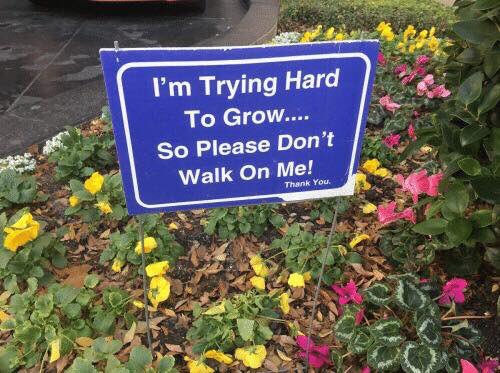 SoadSecretary's tweet photo. Same, plants. SAME. https://t.co/1IF4laHMgC