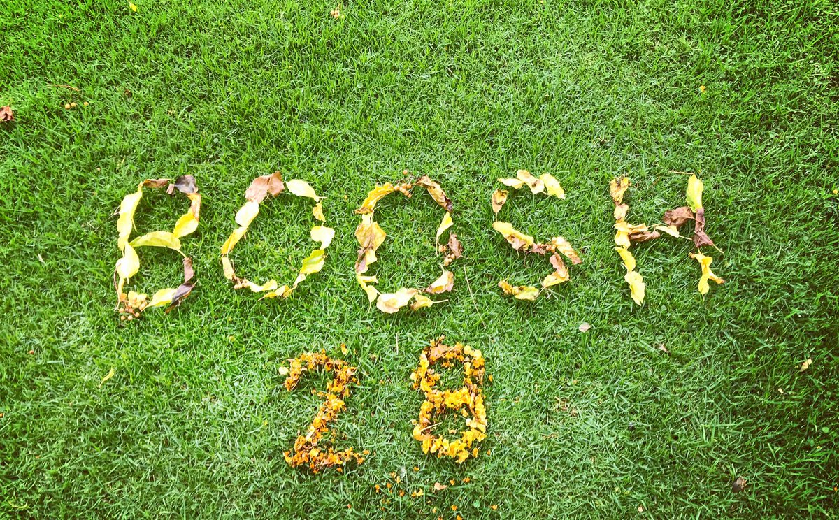 InfinityCoZa's tweet image. .@shortstrawband presents Boosh 28, Saturday, 25 November 2017. bit.ly/2zVYVAQ