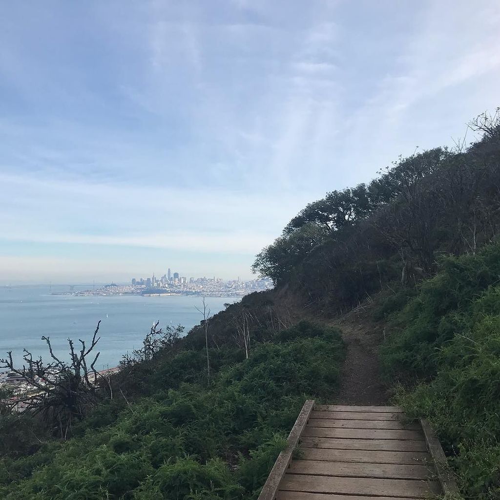 sftrailrunning's tweet photo. The SCA Trail with rad views of the City. Got 18 miles in running from SF, over the bridge, loop in the Headlands, and back to SF.
.
.
.
#runtoexplore #trailrun #trailrunner #optoutside #sftrails #sftrailrunning #ultratraining #traillove #runnerlife #onemoremile #womenrunning https://t.co/GADr7vel9G