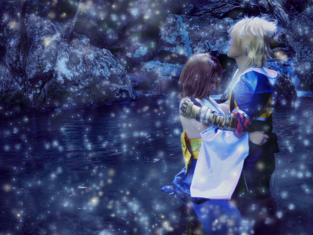 マカラーニャの森 Twitter Search