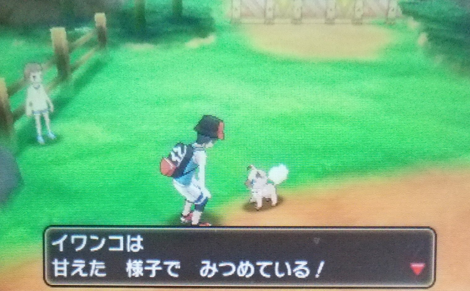 のし部屋 W 道端にイワンコ がいました 似たような反応を繰り返すだけの4種類の選択肢を何度も選び続ける 作業 を延々こなしてるとハートを出して懐くみたいです これがusumのポケモンと触れあえるとかいう目玉要素の一つ T Co 2wvydy3itz