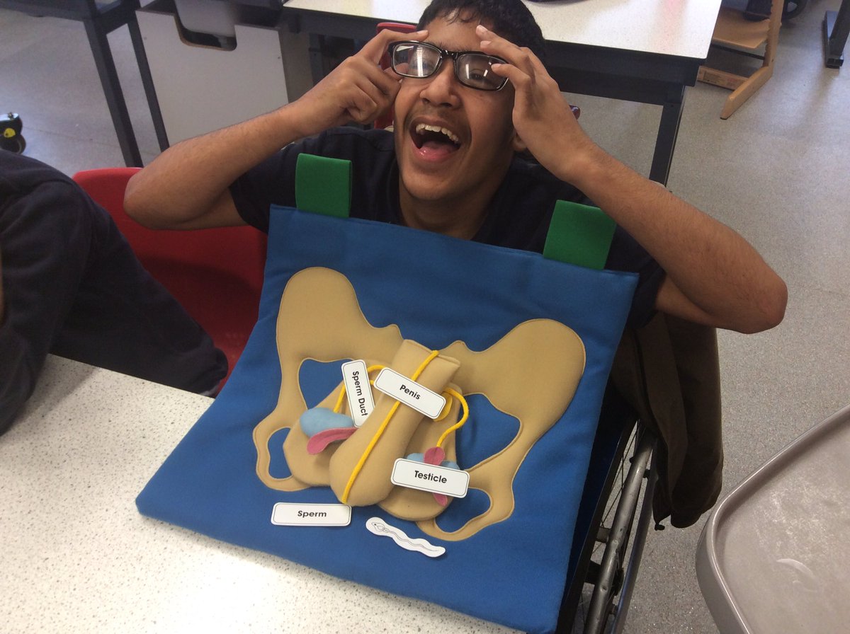 wilsonstfeed's tweet photo. #wsdarwin have been enjoying learning about the reproductive organs #wsscience https://t.co/ubQBxoWu2H