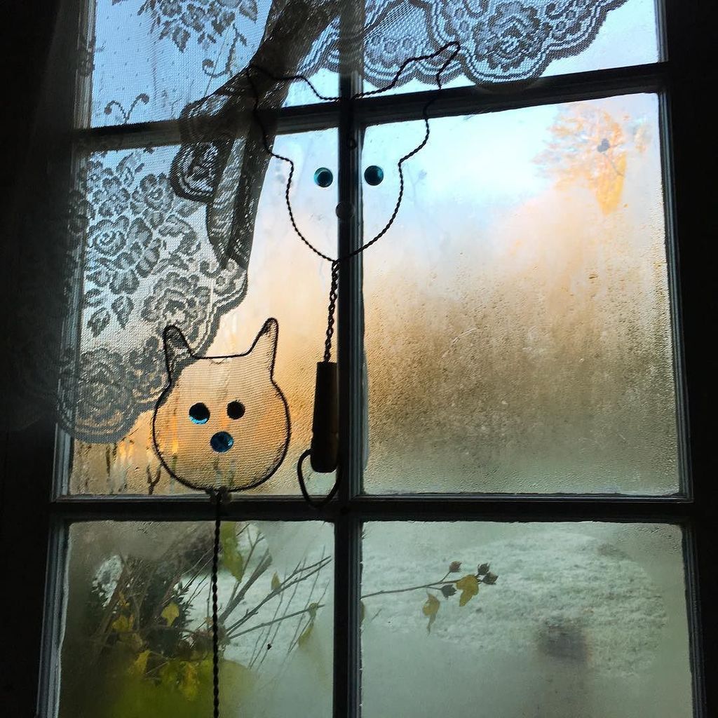 wncpainter's tweet photo. Good morning through the window in my pantry. #goodmorning #mondaymorning #starttheday #annebevan #goodmorningsunshine anne@annebevan.com https://t.co/GHm6GTxfze https://t.co/2zkHFFzQ37