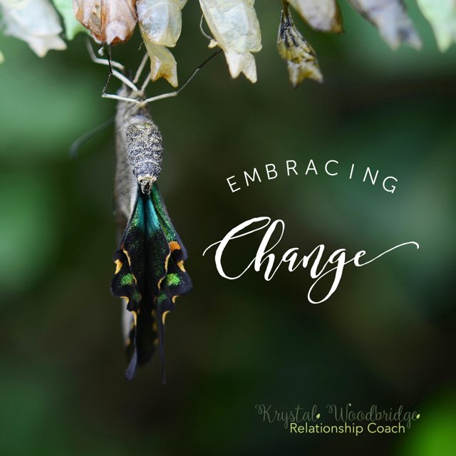 buff.ly/2lmYFY3

#couples #relationships #relationshipcoach #nature #natureinspiredrelationships #conflict #communication