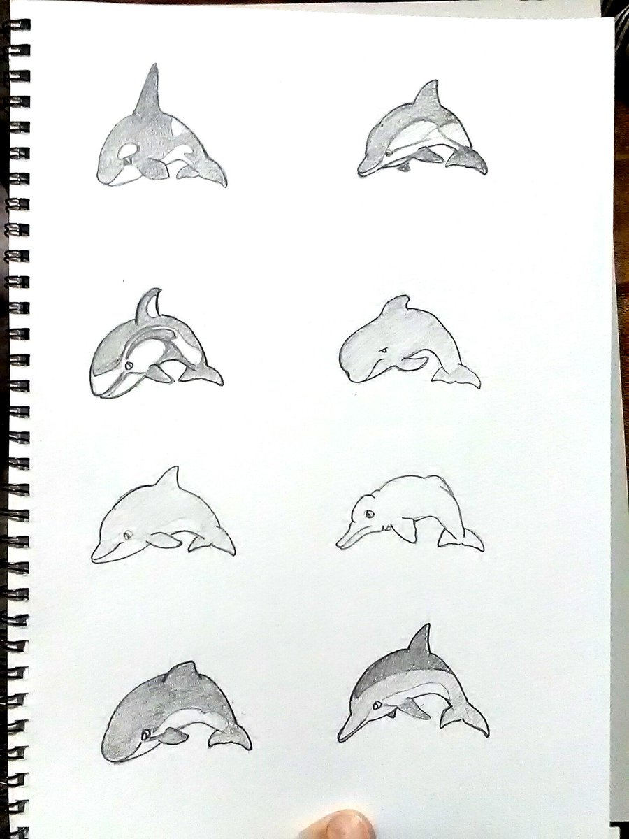 イルカのイラスト