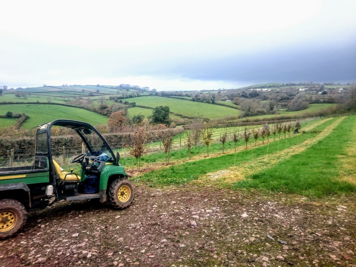 New field being planted <a href="/NewWoodTrees/">New Wood Trees</a>,  ready from 2020!