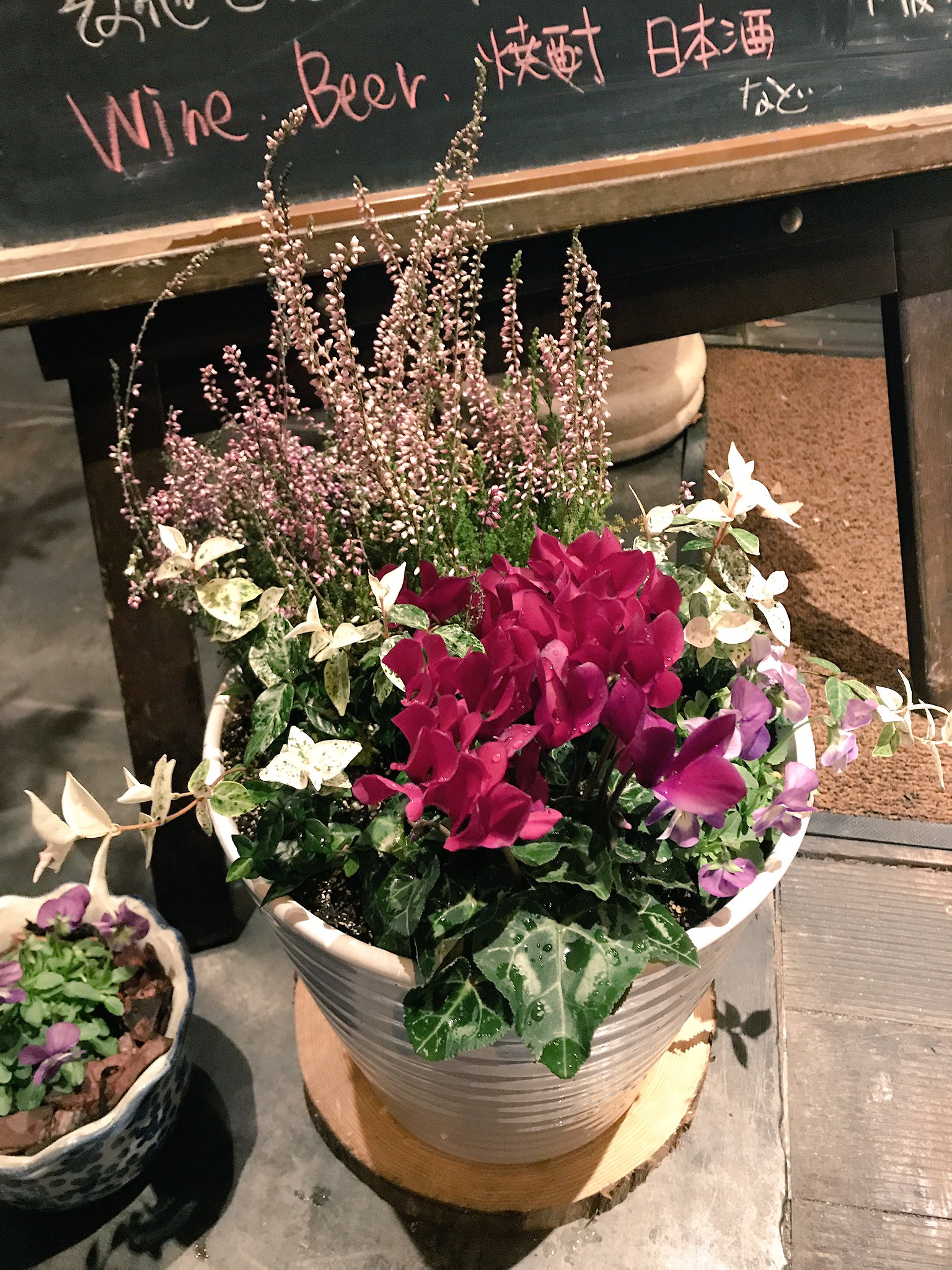 大阪なんば大国町こだわりお好み焼瀬川 リースと一緒にお花もクリスマス仕様に衣替え 今夜もお待ちしておりますm M 大国町 大阪 瀬川 お好み焼き 鉄板焼 シクラメン ガーデンガールズ ビオラ ハツユキカズラ 寄せ植え 花のある生活