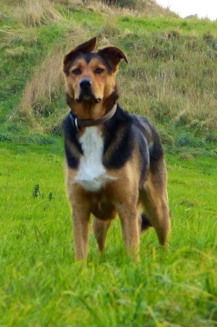 #FindZakHuntaway tweet media