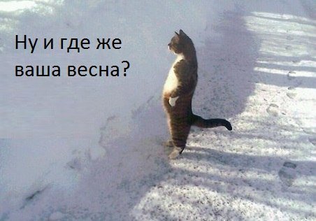 wik_sol tweet picture