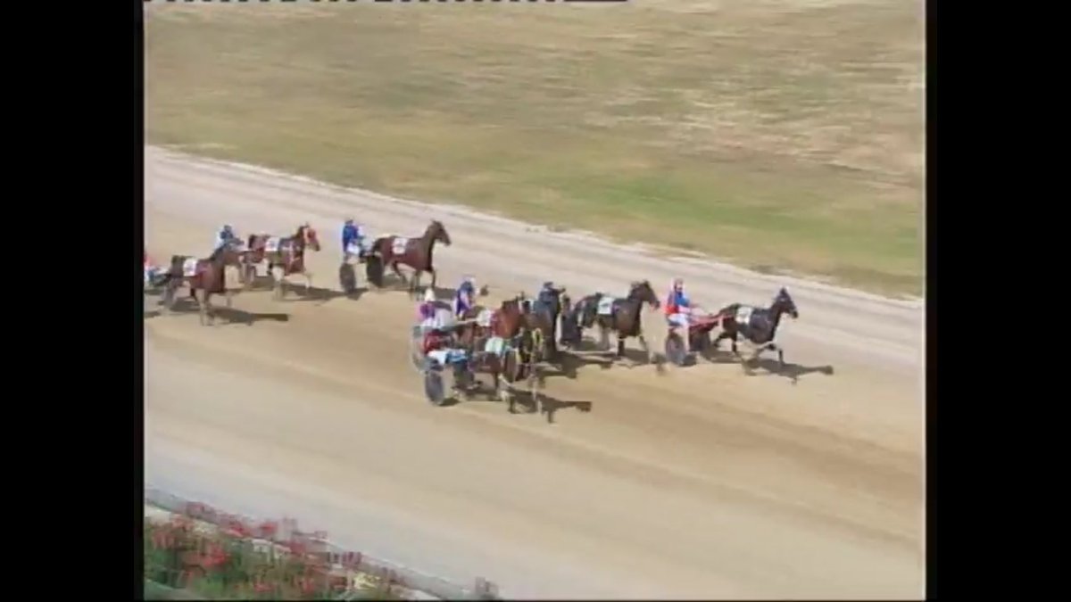 jayden_brewin's tweet photo. #heyhardy scooted along the sprint lane at his absolute best to win hopefully those little legs can keep it up https://t.co/JJUgcVQif6
