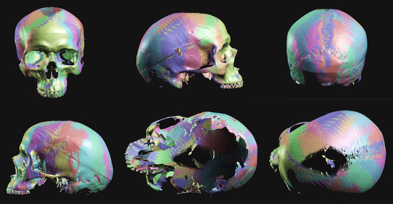 JessicaFrancesL's tweet photo. Globe-Trekking for Science - part of @INTREPIDForSci November 2017 newsletter. #travel, #skeletons, #datacollection #PhD
https://t.co/FG7mhIvzjs https://t.co/Nfb68UGwY6