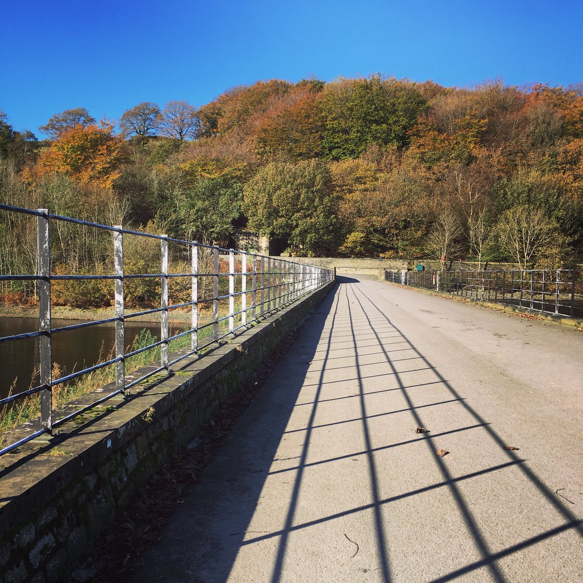 NaylorFay's tweet photo. One from the weekend ... autumnal trees and bright blue skies 👌 #autumn #walks #peakdistrict #happydays https://t.co/ezrl06KQd6