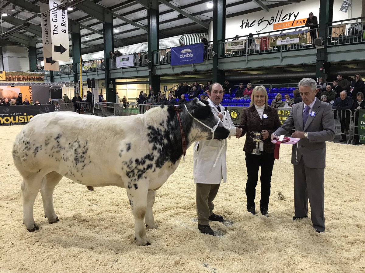 Very pleased Penergetic T can play its part in show ring success   Well done James <a href="/Engwinterfair/">English Winter Fair</a>
