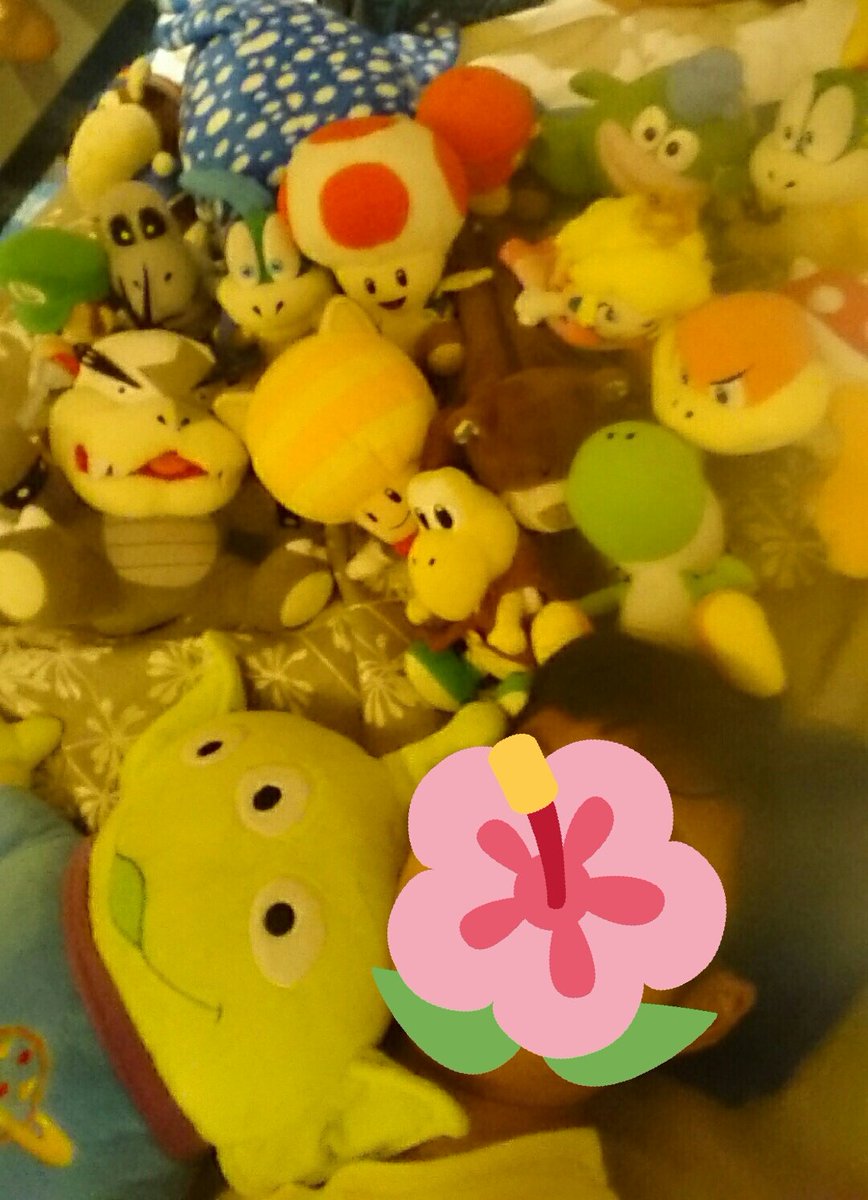 tb peach toad tb peach toad