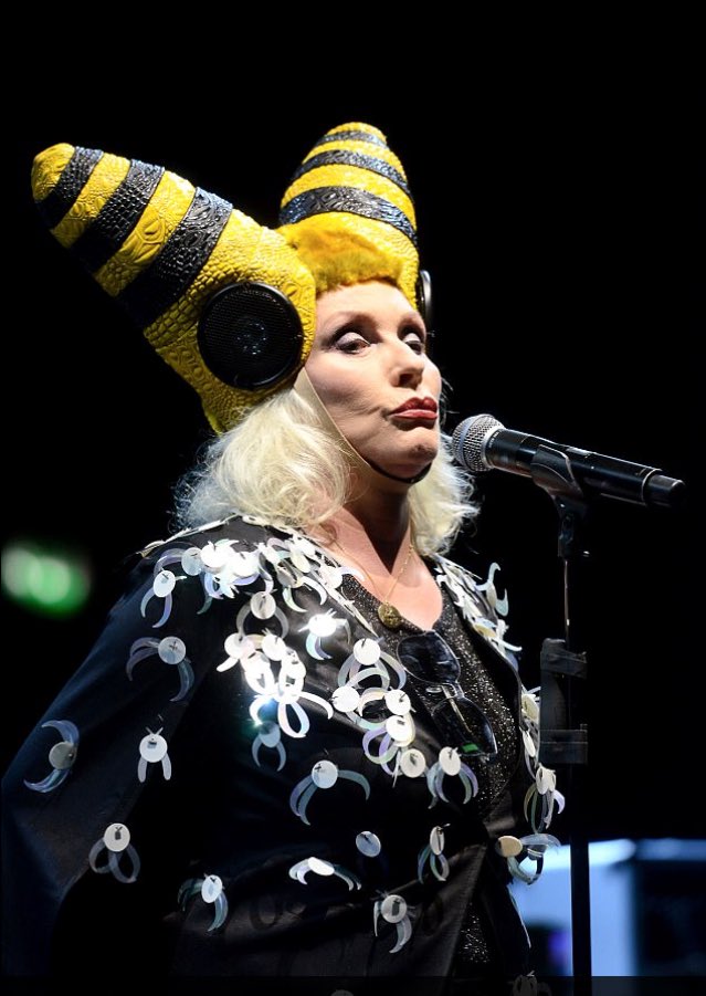 bootstrap bees tweet media