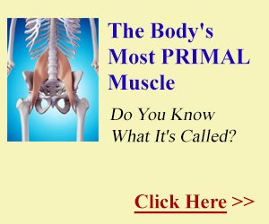 Weight_Loss_Zen's tweet photo. the body's most #primalmuscle - do you know what it's called ?? https://t.co/SlmAKrTaJF #bodyhealth https://t.co/mLhIzDsqh0