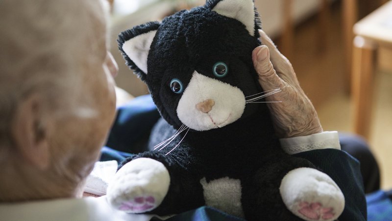 Snoezel #robot JustoCat bij #dementie. Woensdag 22 november te zien op het congres: een Nieuwe Generatie #Ouderenzorg.
