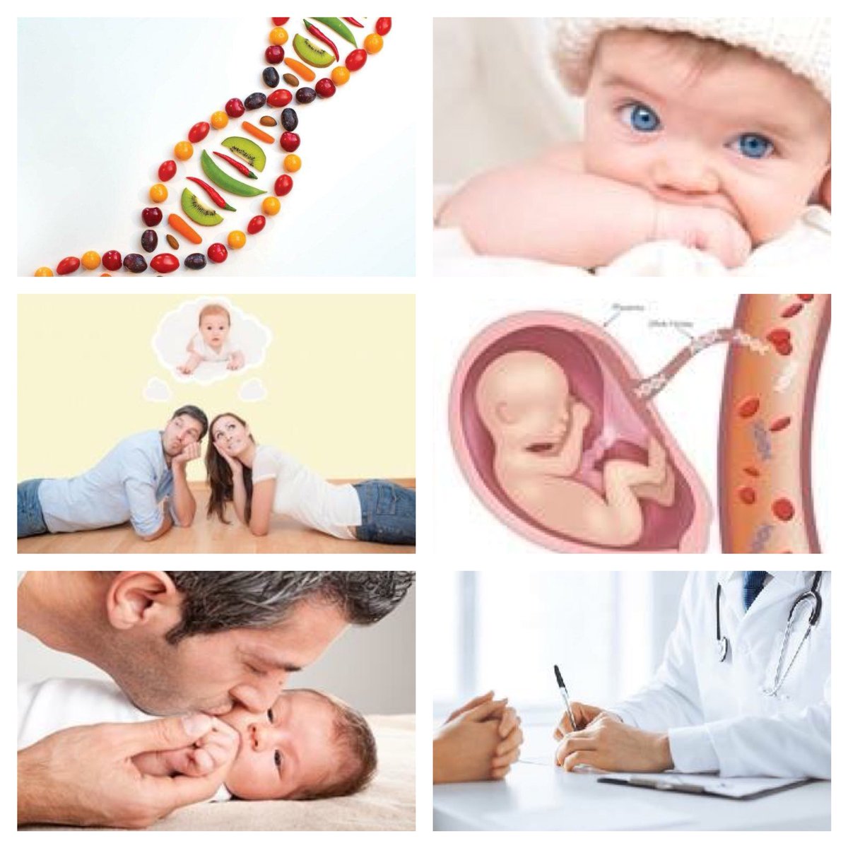 Genetics2000's tweet image. Diagnosi prenatale,nutrigenetica, valutazione della fertilità,test di paternità, consulenza genetica, diagnosi postnatale. genetics2000.it   075.5055564