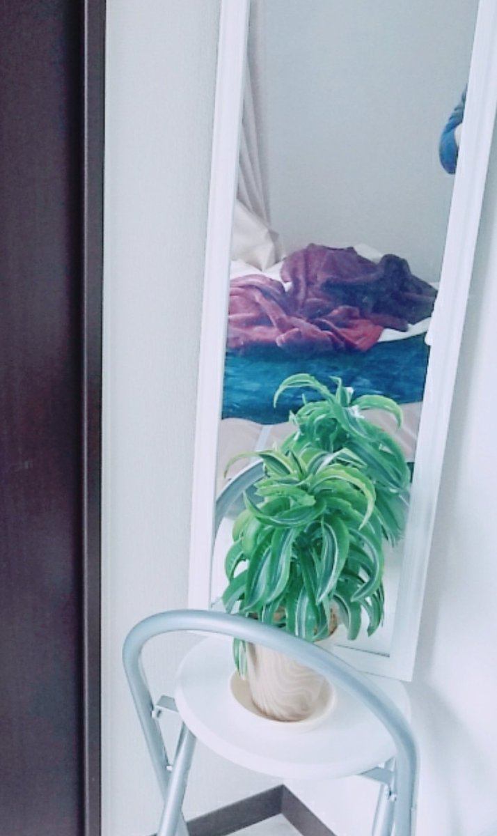 ssbiru_akin's tweet photo. めちゃ寒ですね❄

お休みに、ダイキ行って観葉植物買ってきちゃいました〜（ ＾ω＾）購入した瞬間からなぜかうちの子！って感じで愛着の湧き方ハンパない💕

うちの子かわいい😊💓

今日のアミューズは久しぶりのりかちゃん❢とまみ🐥

あきんは美香ちゃんです󾠓

えびす講のおみやげはどしどし募集✨ https://t.co/PQLi7ewB3k