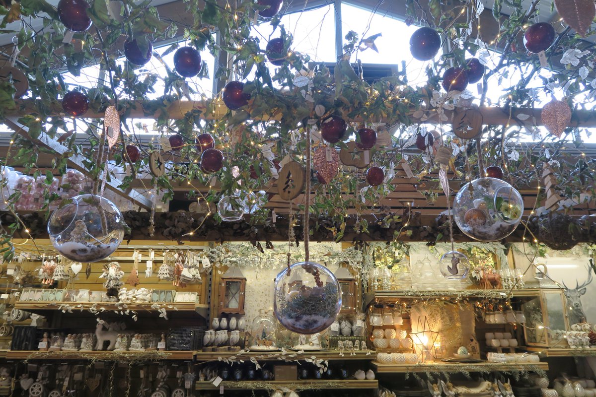 laptiteperruche's tweet photo. Quoi de mieux que faire un peu de #shopping pour se mettre dans l'ambiance de #Noel ? ☃️❄️😊
#decoration #espritdenoel https://t.co/8iXiG740s1