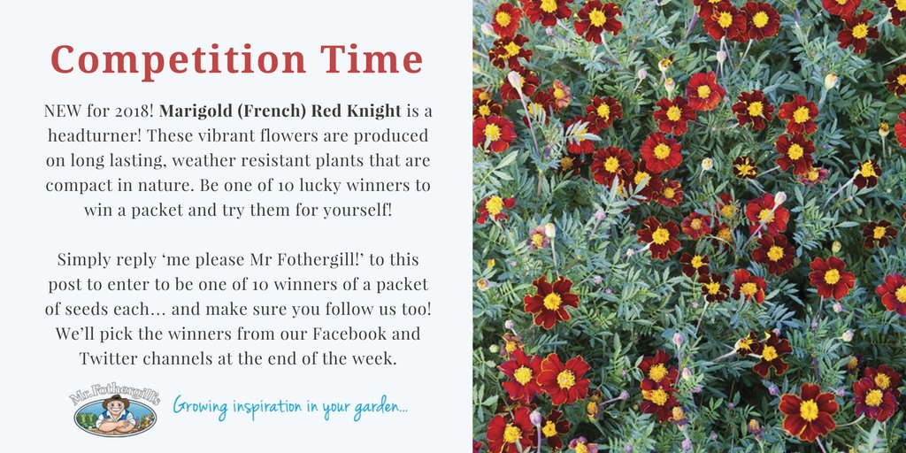 mrfothergill's tweet photo. Enter our #giveaway to #win #marigold
10 lucky winners, drawn on Friday!
Pls #RT
#competition #share
https://t.co/UL3LzppPSM https://t.co/fvpAKQi32L
