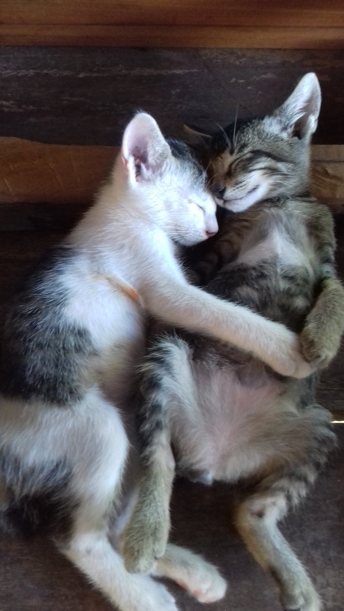 KhismaP's tweet image. night baby Al