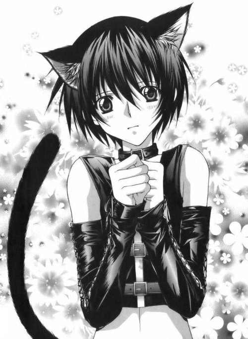 ritsuka neko catboy
