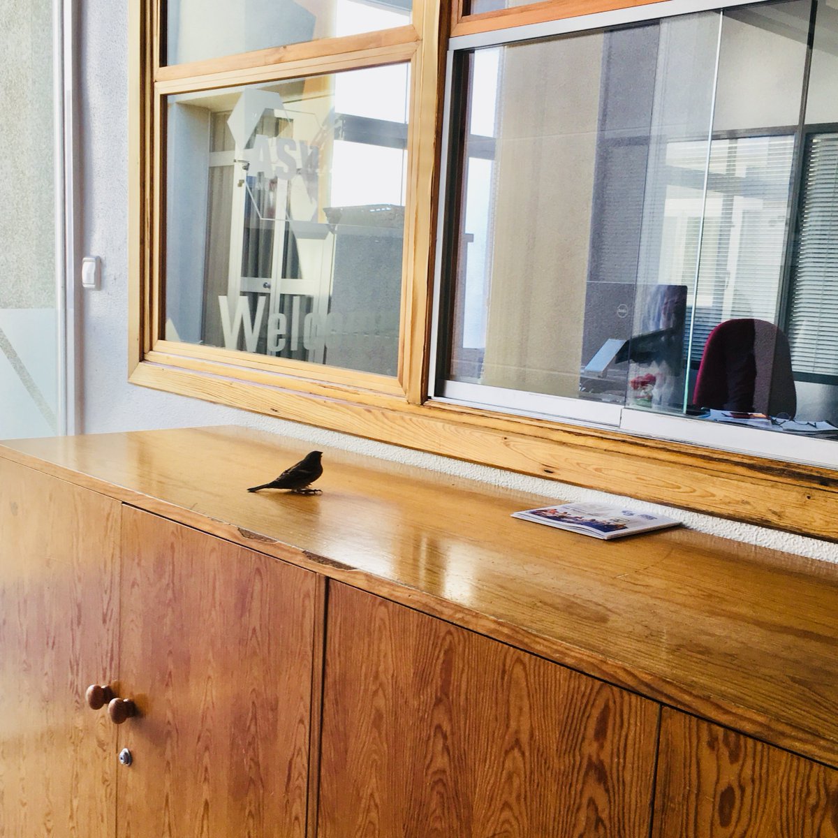 asvtweets's tweet photo. “ASV office, may I help you?” #ASVCampus #Visitors https://t.co/Rueo8UM2mN