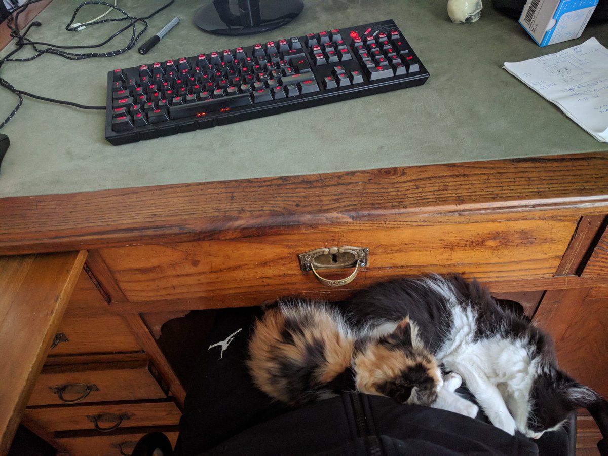 zero0signal's tweet image. O così... @HDblog