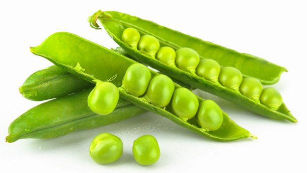 FoodProcessTech's tweet photo. #foodprocessing #foodtechnology #nutrition
Improvement in #Cognitive Function with Green #Soybean Extract May Be
Caused by Increased #Neuritogenesis and BDNF Expression @ https://t.co/iwqATnyelj https://t.co/7bIHv5a7GQ