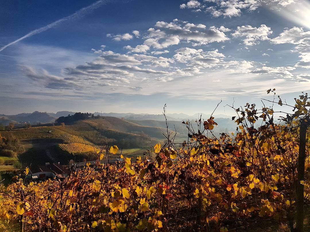 Il 24 novembre, #AisCuneo​ e il Consorzio di Tutela Roero ci introdurranno alle MGA del #Roero: il racconto di un territorio dinamico e una degustazione di Roero DOCG e Roero #Arneis DOCG provenienti dalle più note vigne del territorio. Vietato mancare! 

aispiemonte.it/eventi-ais-pie…