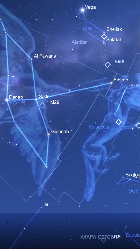 DACKS Company tweet media