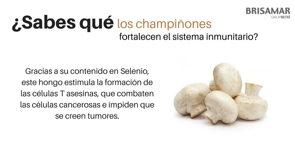 ➞ #CuriosidadBrisamarGrup | Champiñones