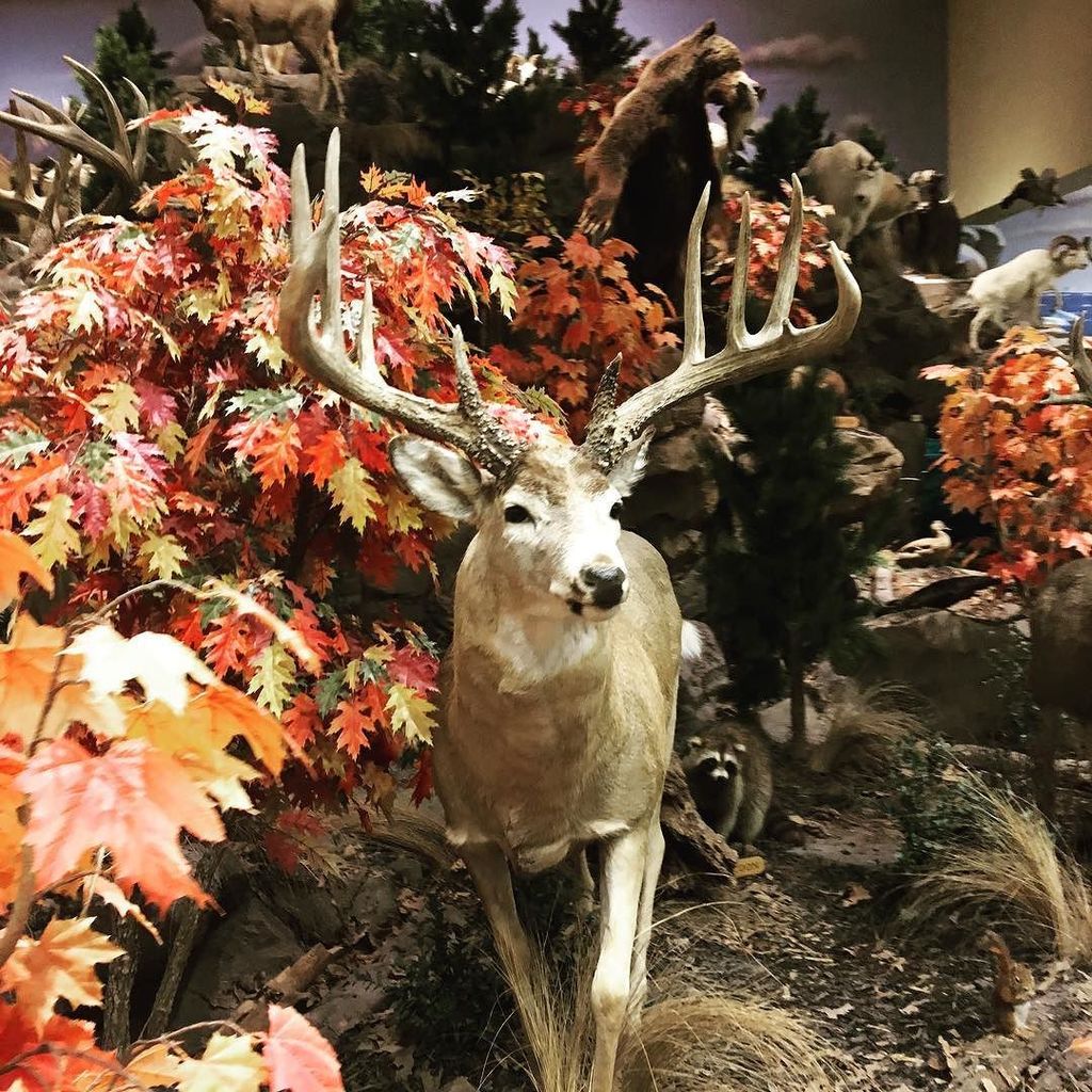 Rogers AR. ift.tt/2hHdnVj