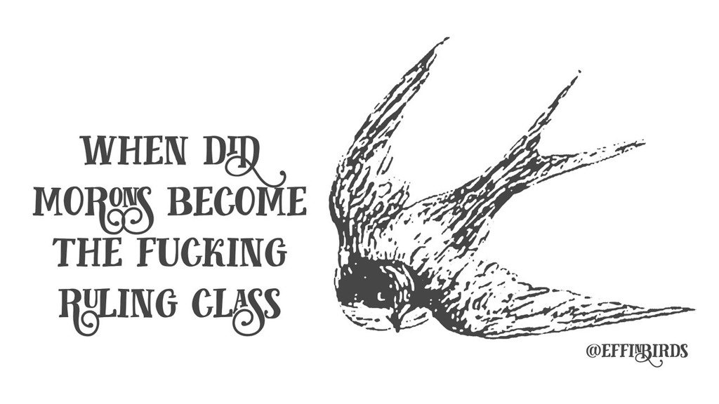 Effin' Birds (@effinbirds) on Twitter photo 
