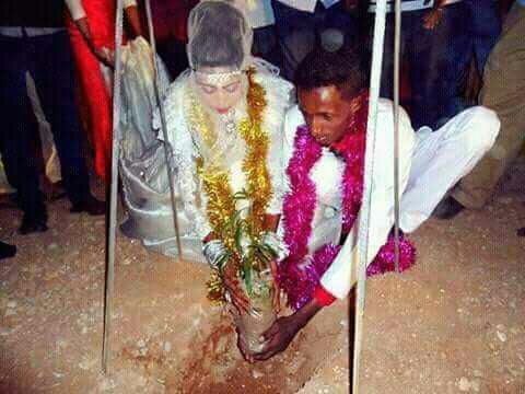 M_kaaliye's tweet photo. "Guurso oo geed beer"

Waa hal Ku dhig wax loogu qabanayo bilicda degmada #Burtinle.
Aad bay u mahadsan yihiin dhalinyaradii soo abaabushay xilna iska saartay bilicda degmada #Burtinle.
#NabadiyoNolol https://t.co/WhaLvoPF2N