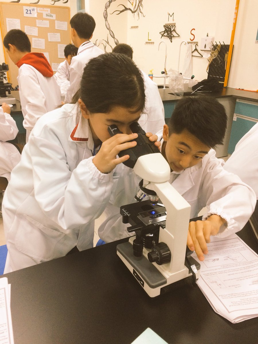 mrs_brogers's tweet photo. After a week learning outside the classroom, grade 7 spent their first day back in science class staining their cheek cells! #GoISNS #ISNScience https://t.co/f18EKZTgvQ
