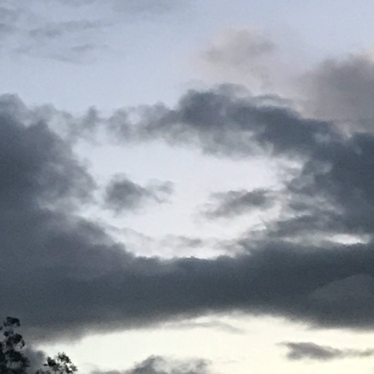 Sandi_TriNature's tweet photo. I Taut I Taw a Puddy Tat!

#brisbanesky #today #catcloud https://t.co/jh8s8MXEGt
