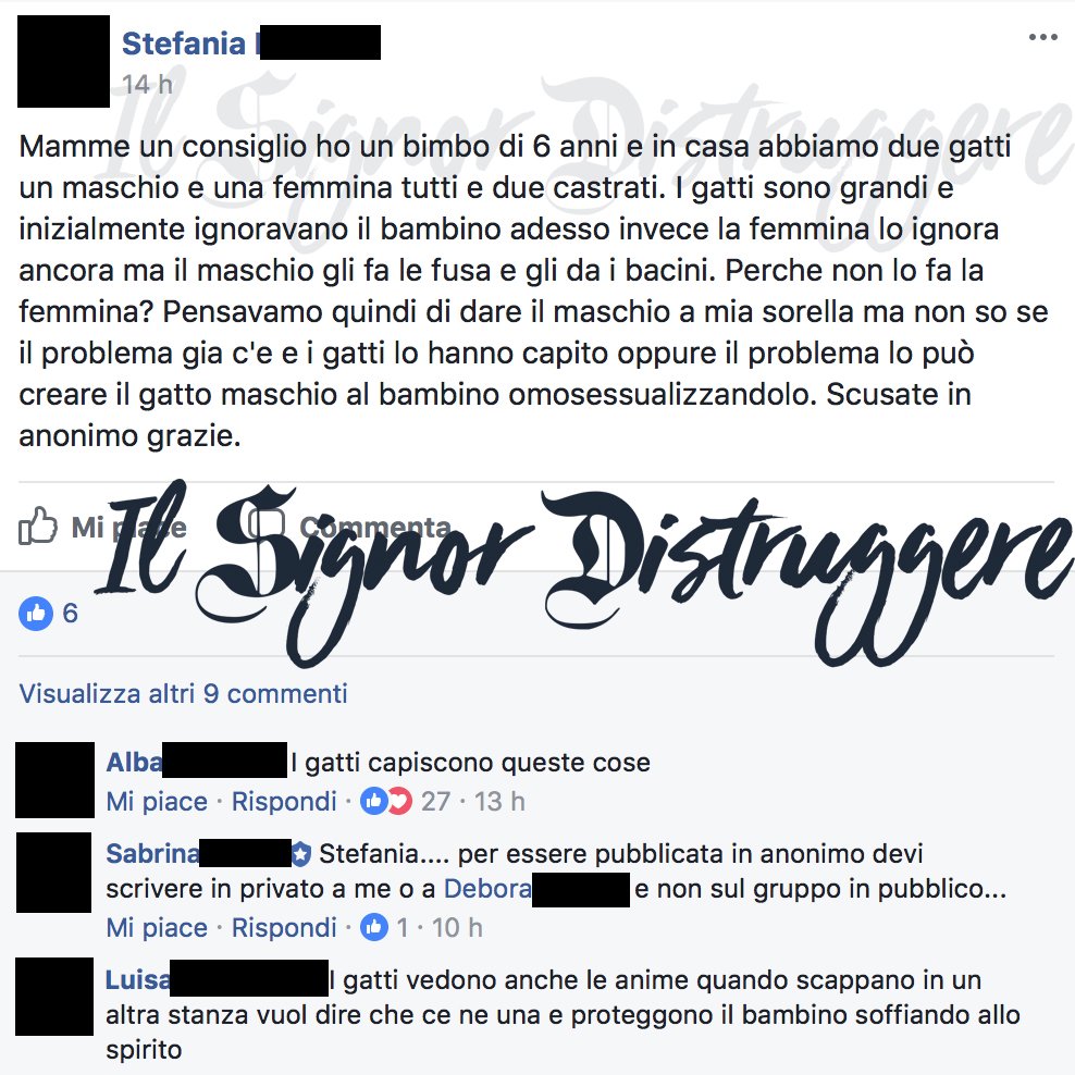 SirDistruggere's tweet photo. Questa è un'emergenza che solo voi potete risolvere. 🐱💋👶 https://t.co/RJOxxtJ55x