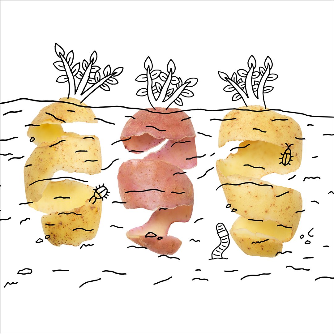 VeoliaUK's tweet photo. #DidYouKnow Peelings from just 6 potatoes can create enough compost to grow a new one! So pop your peelings in a food recycling caddy or compost bin. #SmallChangeBigDifference @scbdLondon @lambeth_council https://t.co/idRWwZlah8