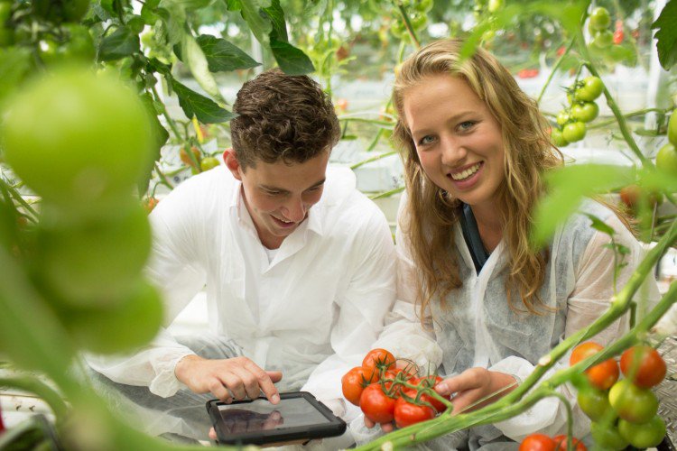 Maarten Crum (@maartencrum) on Twitter photo "Buitenlandse media onder indruk van Westlandse kassen"
bit.ly/2zis2Bj via <a href="/ADWestland/">AD Westland</a> #worldhorticenter #proffensief @InhDelft #lerenisdurven "Buitenlandse media onder indruk van Westlandse kassen"
bit.ly/2zis2Bj via <a href="/ADWestland/">AD Westland</a> #worldhorticenter #proffensief @InhDelft #lerenisdurven