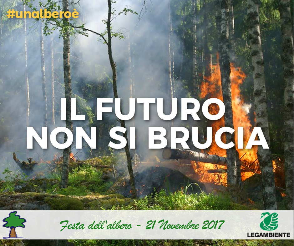 Legambiente's tweet photo. #Festadellalbero di Legambiente, #IlFuturoNonSiBrucia: piantiamo un albero nelle aree protette contro la devastazione degli incendi. Insieme, il 21 novembre. >> https://t.co/jQfVLdmiOG #unalberoè https://t.co/eE1DE6IiVi