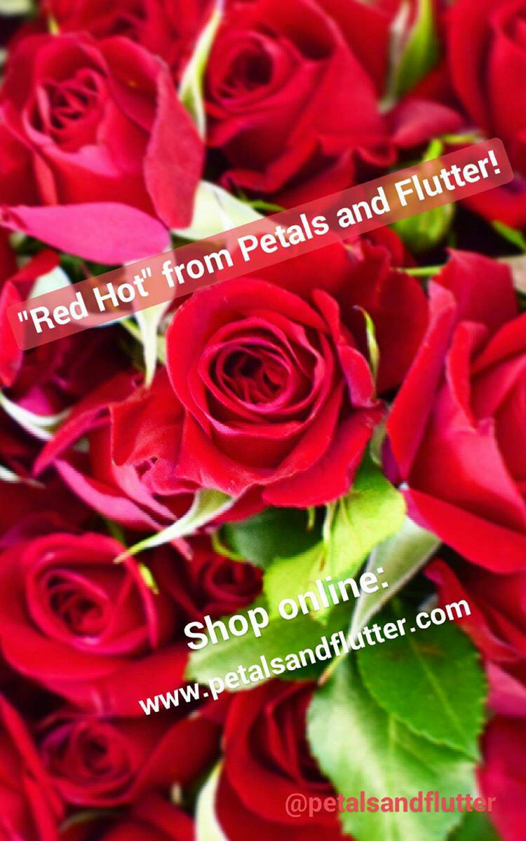 petalsnflutter's tweet photo. Spice it up with Red Hot bouquets from Petals and Flutter!
#shop #online : https://t.co/tdgsL7ely8
#petalsandflutter #redrose #bouquet #love https://t.co/TqvkUarwhe